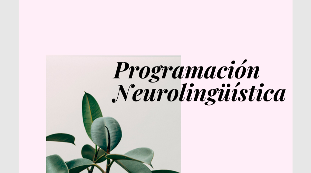 programación neurolingüística